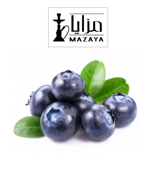 Mazaya Blueberry Flavor