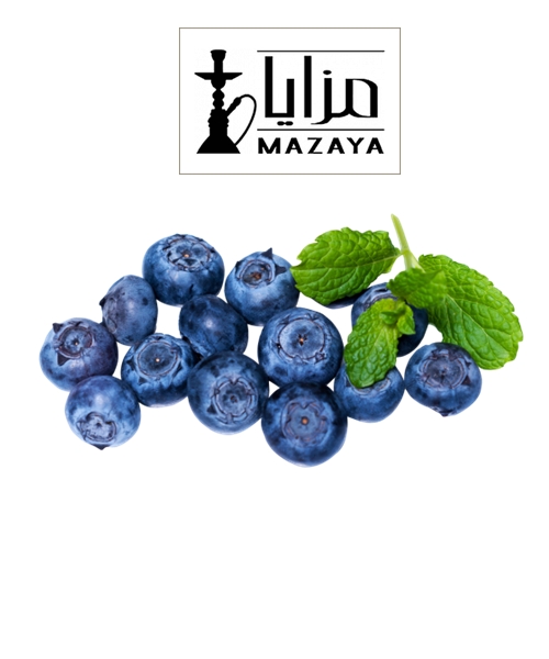 Mazaya Blueberry Mint Flavor